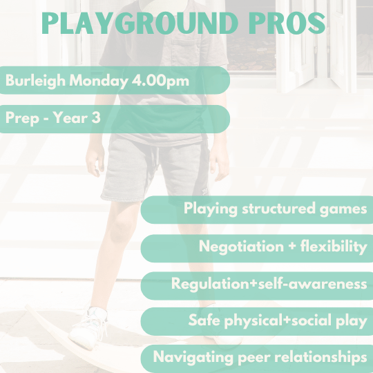 Playground Pro's